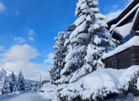 Tonale / Ponte di Legno aktuálně